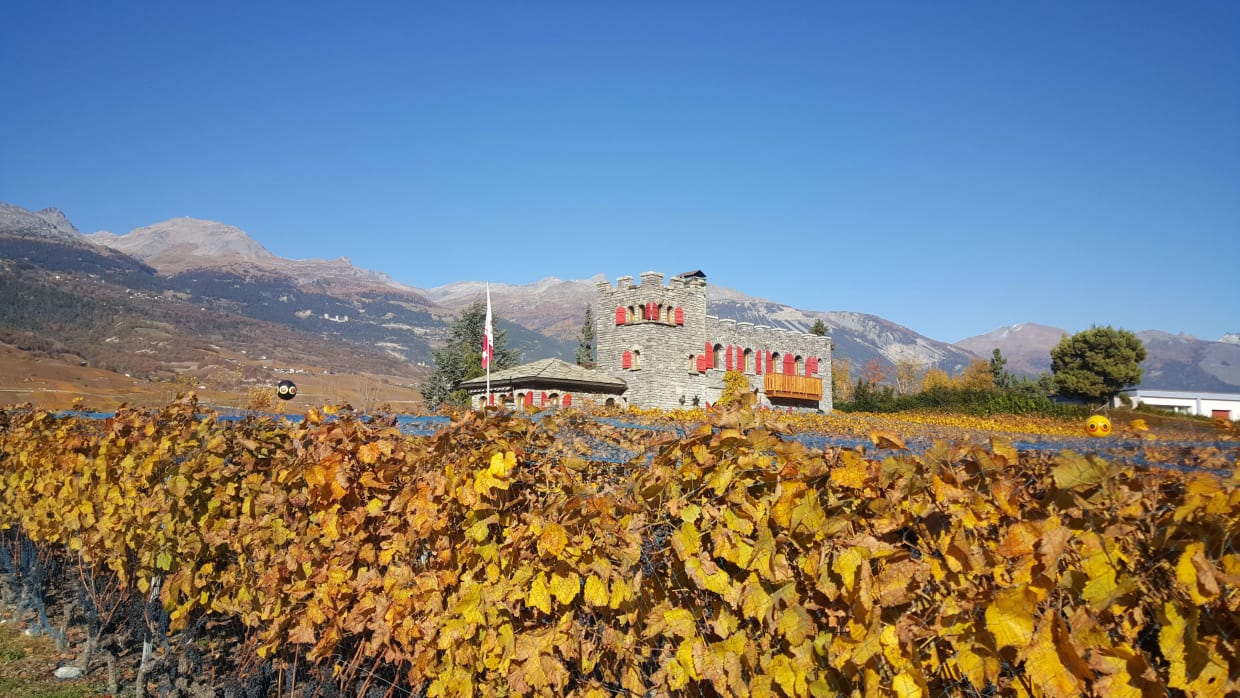 The Castel in Automn
