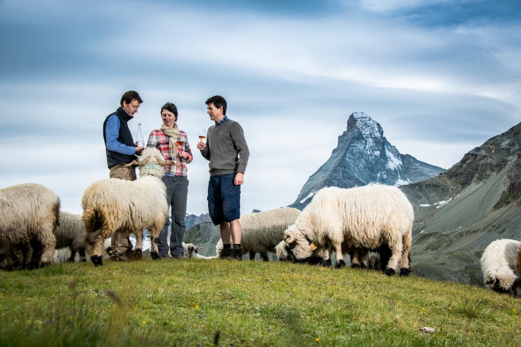 Le Valais Cervin
