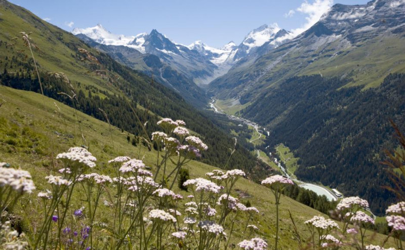 Eté en Valais