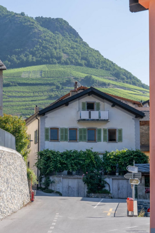 Image 10 Image 10