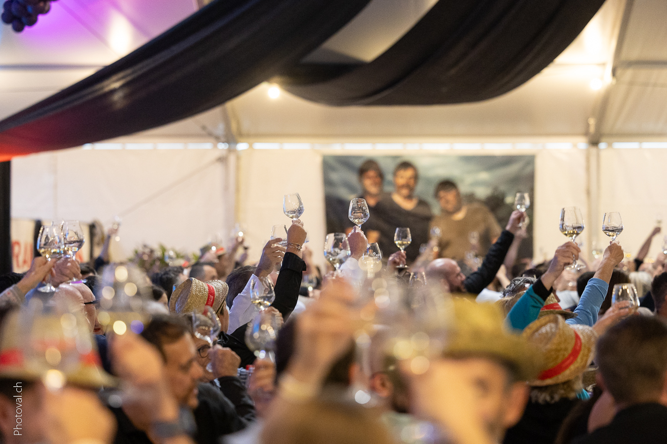 glareyarde-2-10130077