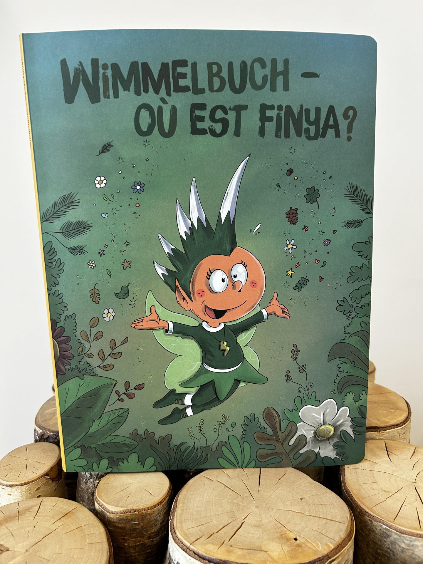 livre-wimmelbuch-8786604