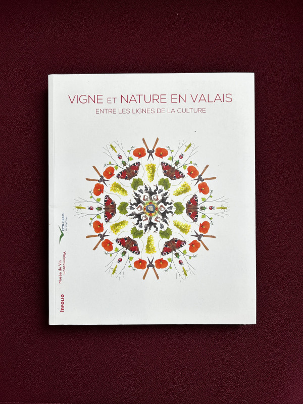 vigne-et-nature-en-valais-8821106