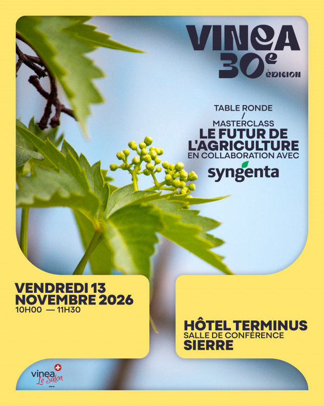 vinea-2026-masterclass-table-ronde-10694408